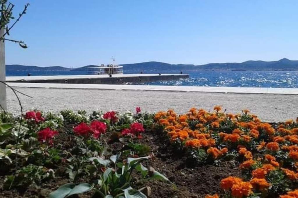 D&a * Zadar